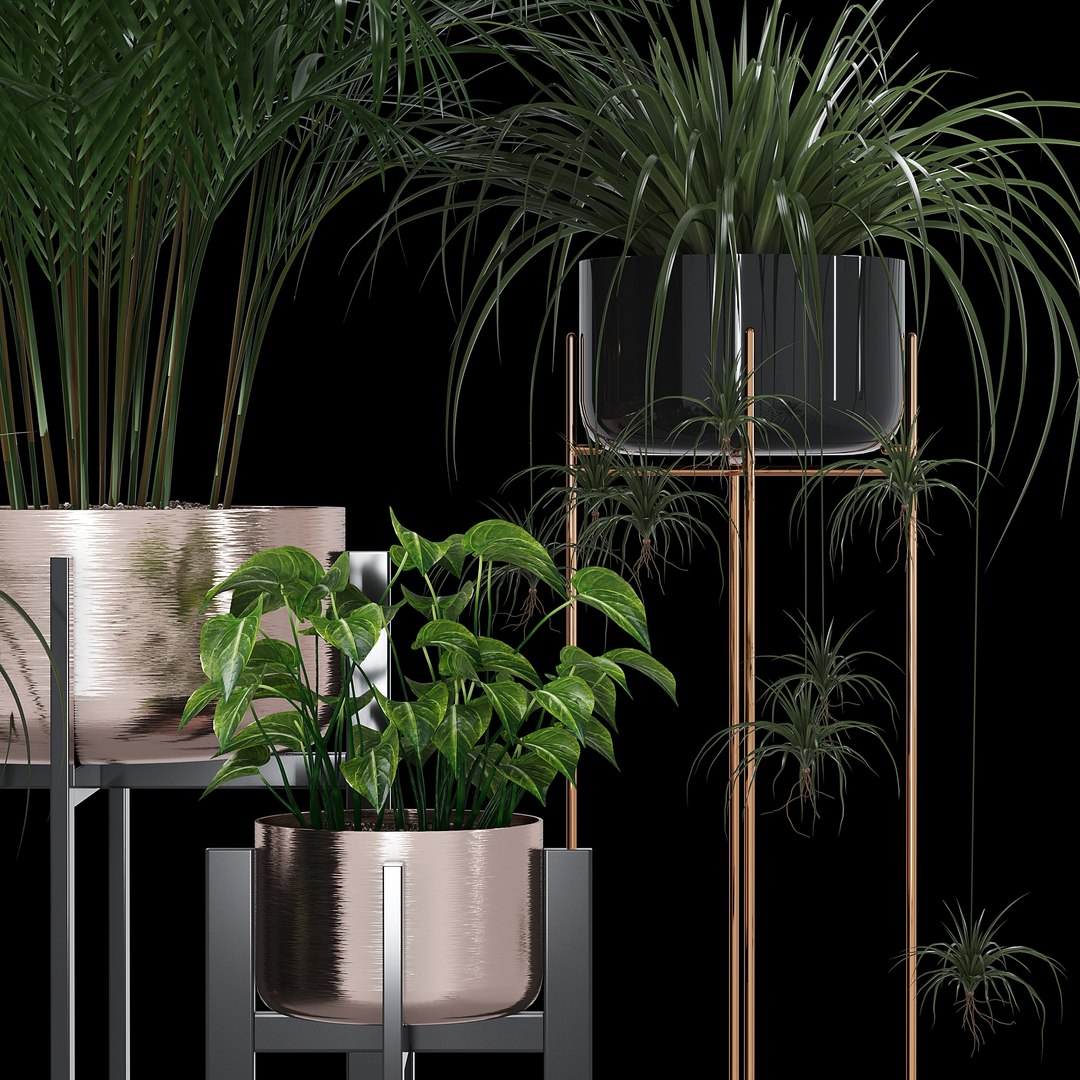 3D dash edge decor model https://p.turbosquid.com/ts-thumb/Nm/iguUAB/NbjiT6JB/dtree_5/jpg/1584990046/1920x1080/fit_q87/eaaac0dbd48fa04eae68a74325fe044154e41b87/dtree_5.jpg