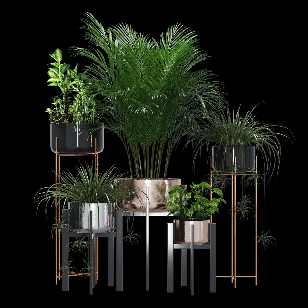 3D dash edge decor model https://p.turbosquid.com/ts-thumb/Nm/iguUAB/NuuT8QrD/dtree_1/jpg/1584990003/1920x1080/fit_q87/717e5367590231318972d0716163dce86ce17aef/dtree_1.jpg