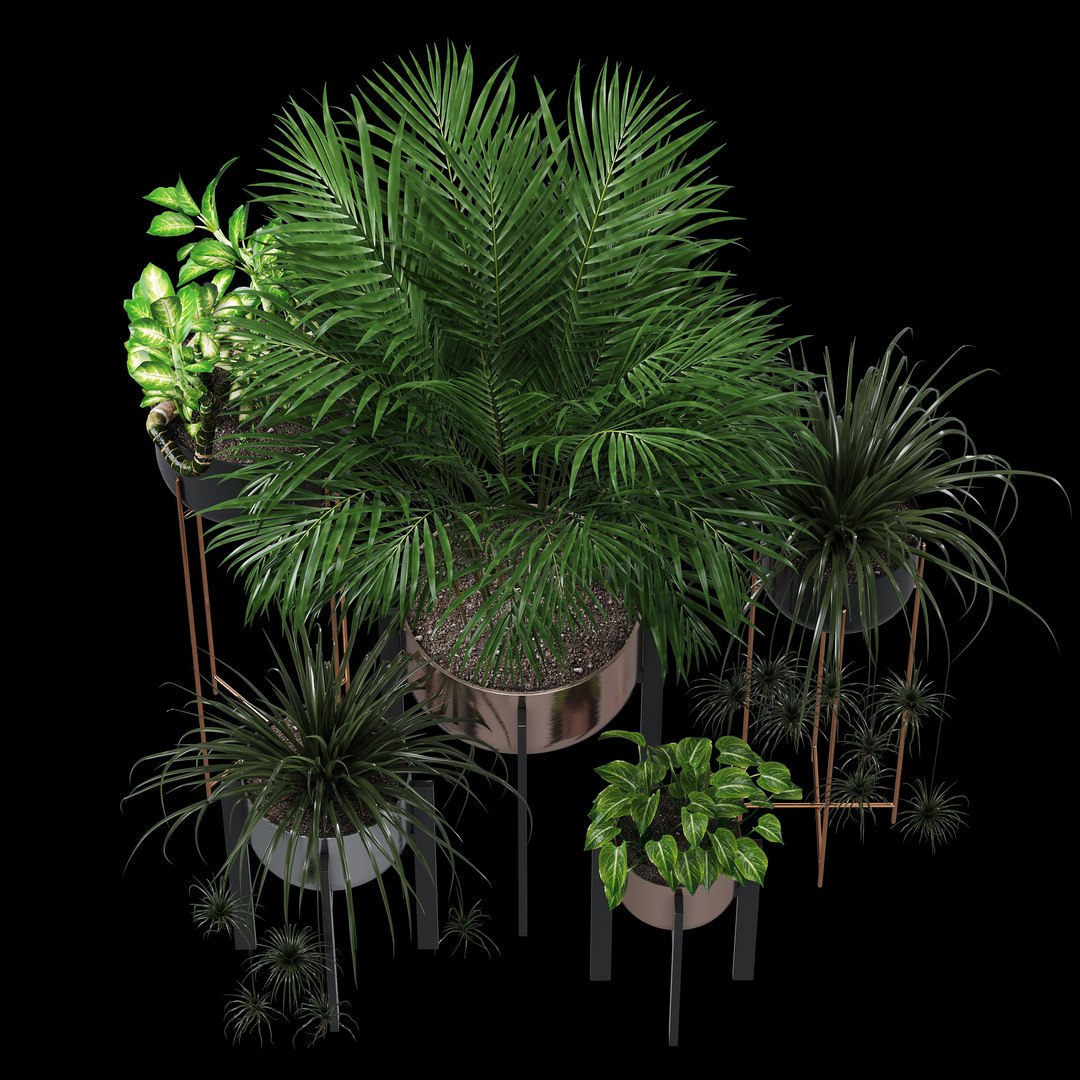 3D dash edge decor model https://p.turbosquid.com/ts-thumb/Nm/iguUAB/iJkDJ1V4/dtree_2/jpg/1584990037/1920x1080/fit_q87/35e3e5a24cc06034e2eb8086067c4db321de3f84/dtree_2.jpg