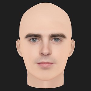 Low Poly Freddie Highmore Head