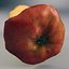 Stub Apple V1