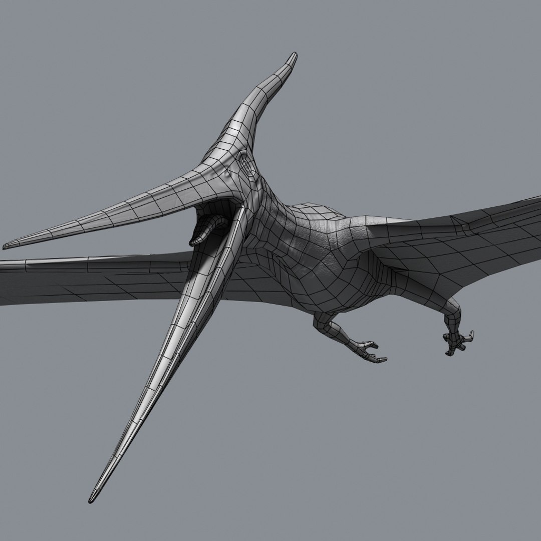 Pteranodon Pterosaur Max