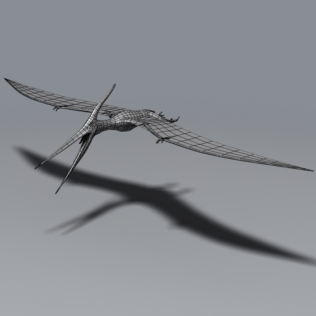 Pteranodon Pterosaur Max