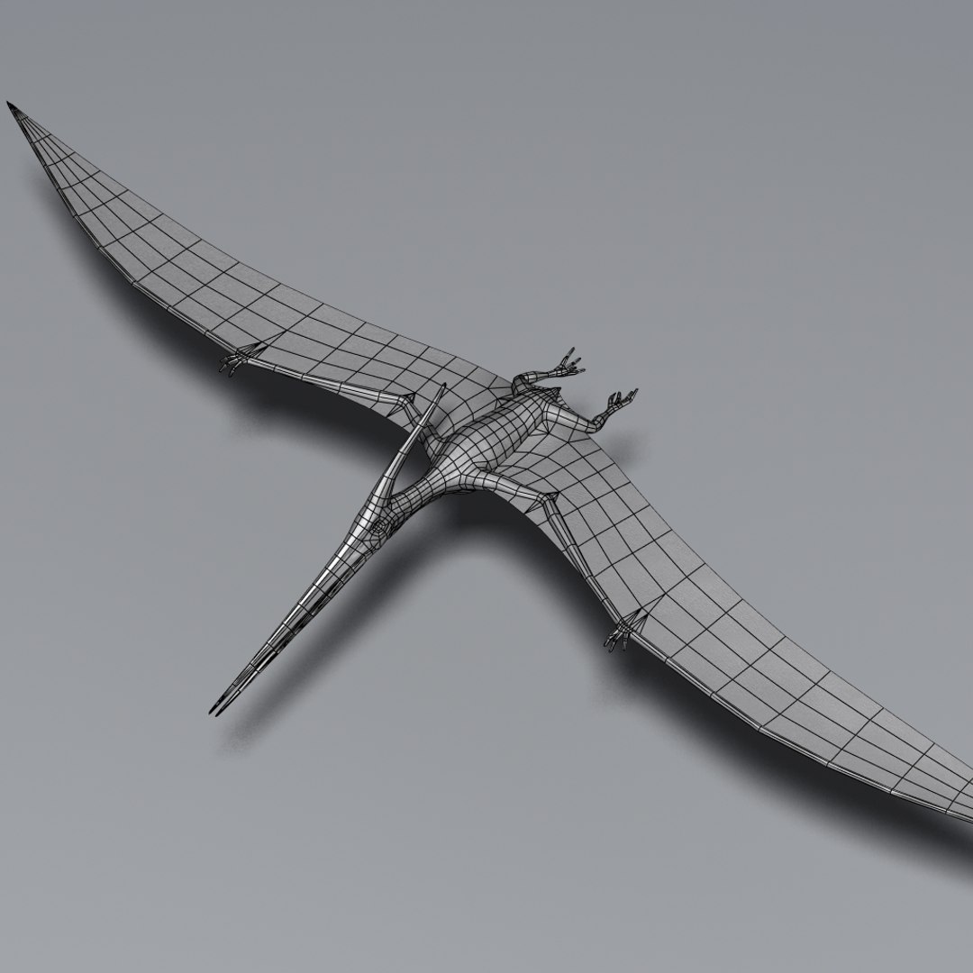 Pteranodon Pterosaur Max