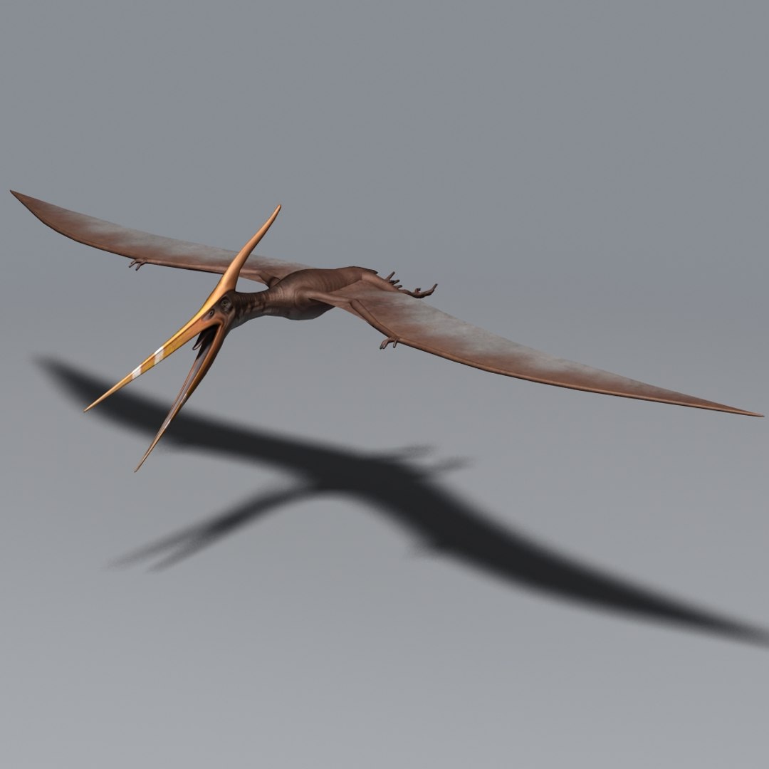 Pteranodon Pterosaur Max