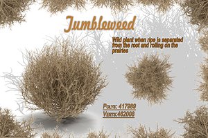 Tumbleweed