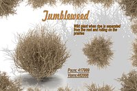 Tumbleweed