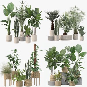 20 Photorealistic Flowers for Interiors - set 201 203 209 218 3D model