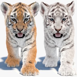 Animated Tiger Cub 3D Model Fur Natural and White