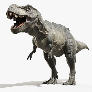 3D tyrannosaurus rex model