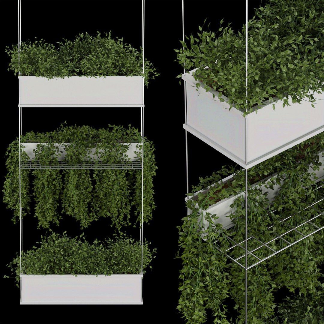 Collection plant vol 222 3D model https://p.turbosquid.com/ts-thumb/Nn/FYE2yx/tI/2/jpg/1650807122/1920x1080/fit_q87/6d6a61e675a811b10acdbcb2177b674b381959f9/2.jpg