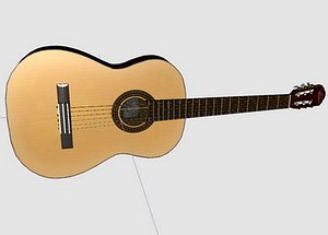Washburn Acoustic Guitar