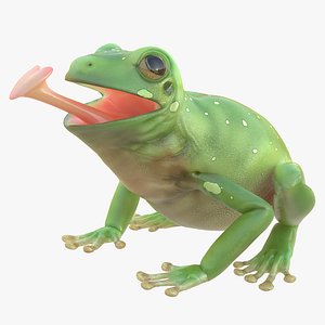 3ds max australian green tree frog