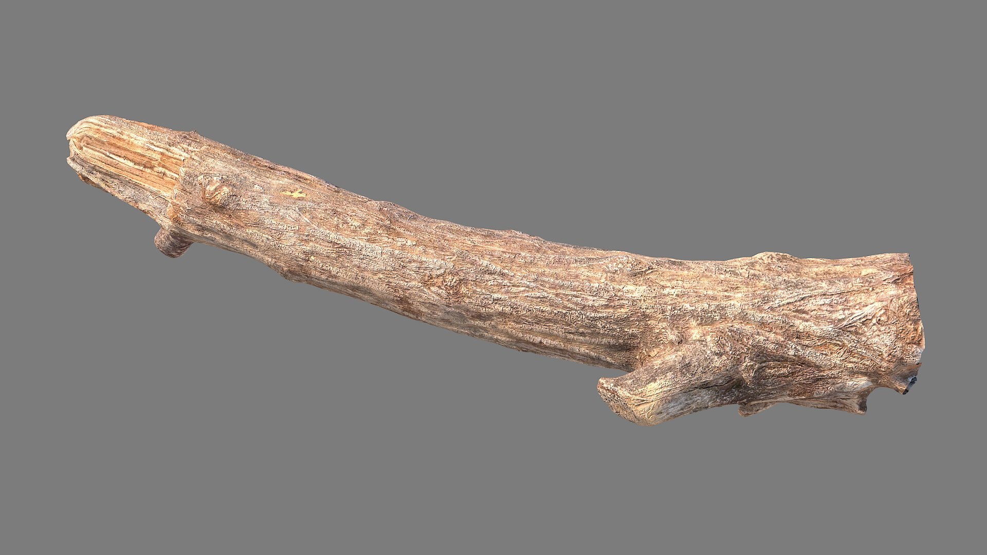 Twig Scanned 28 3D Model - TurboSquid 2088509