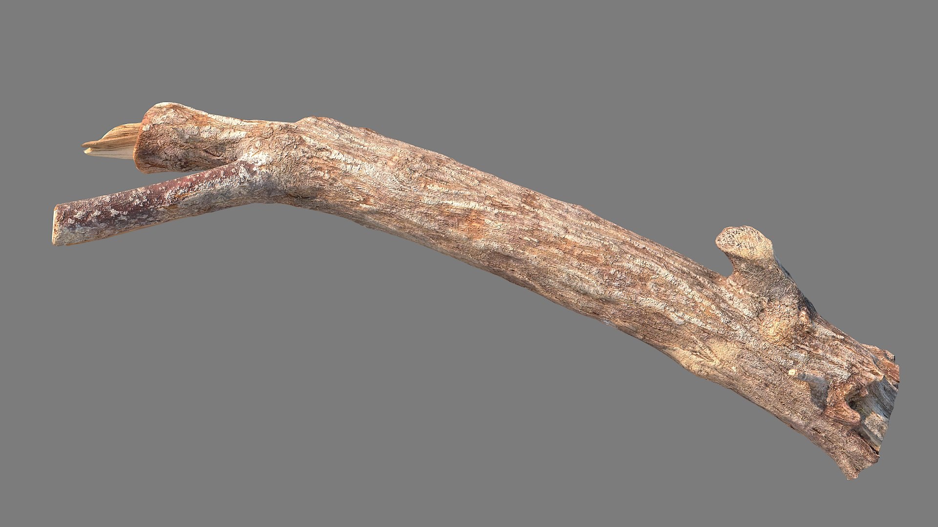 Twig Scanned 28 3D Model - TurboSquid 2088509