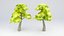 3D Tree stylized model