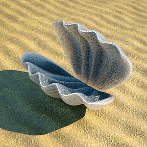 3d model clam shell