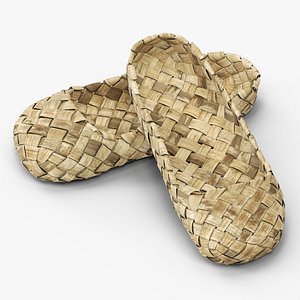 Aged Bast Shoes Used 3D model