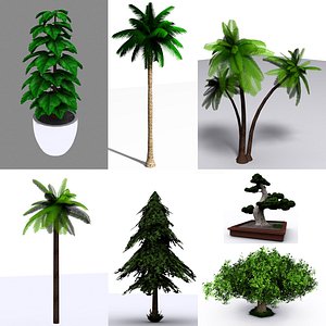 3D Palm Oak Bonsai Tree and Indoor plant  collection