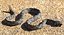 3D snakes 3 model