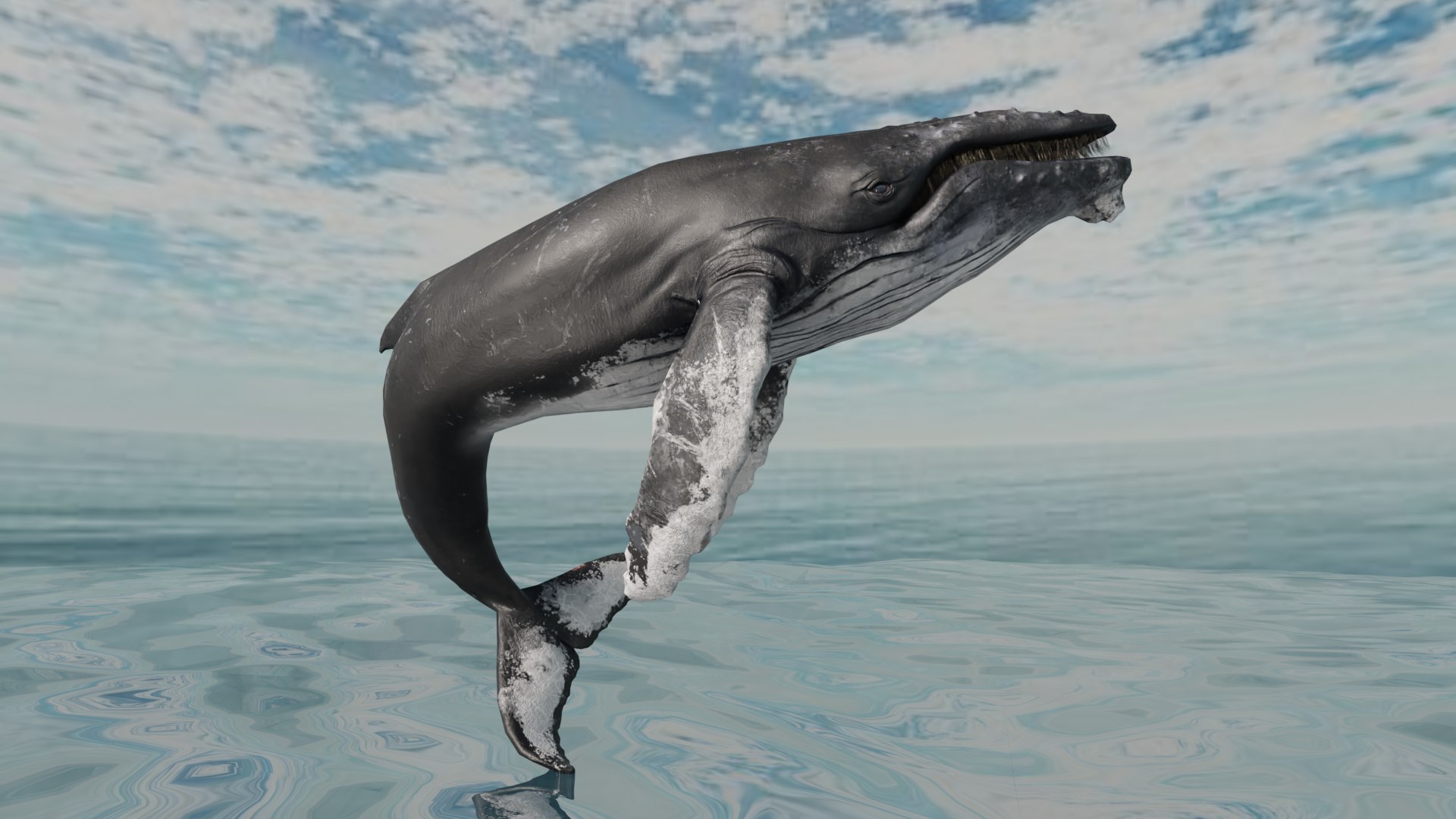 Humpback Whale Animated RE Model - TurboSquid 2003596