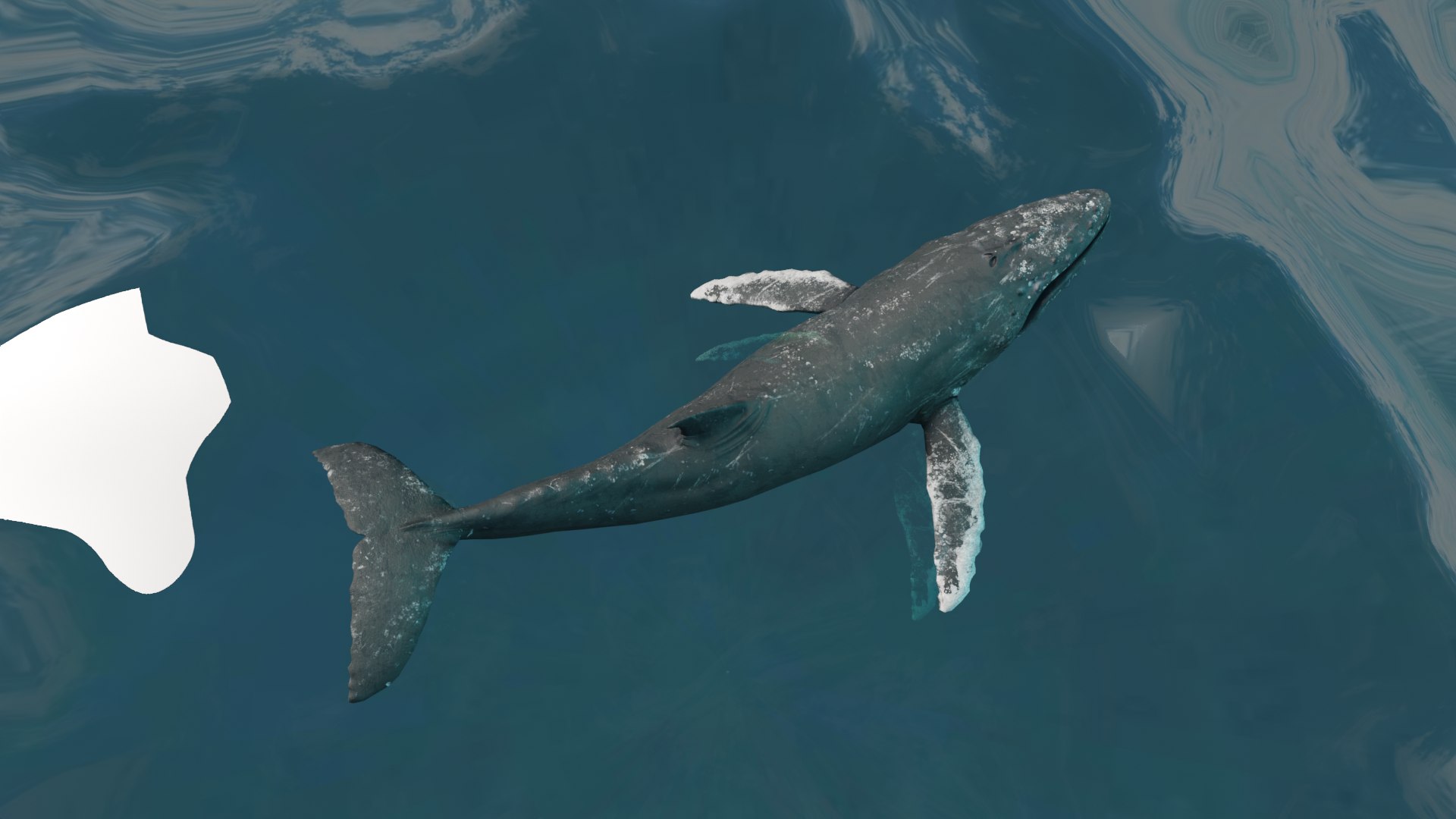 Humpback Whale Animated RE Model - TurboSquid 2003596