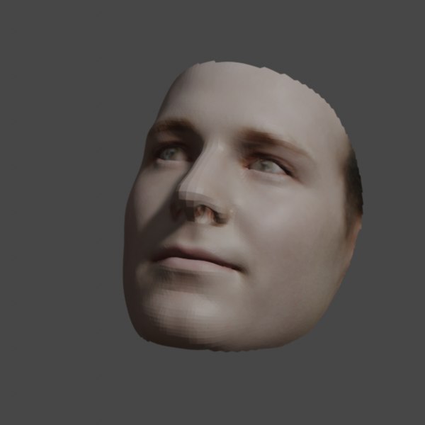 Paul Rudd Face - R2 model