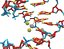 Cisplatin DNA Complex