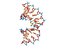 Cisplatin DNA Complex