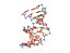 Cisplatin DNA Complex