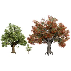 GameReady Oak Trees