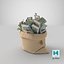 Money Bags Collection V12