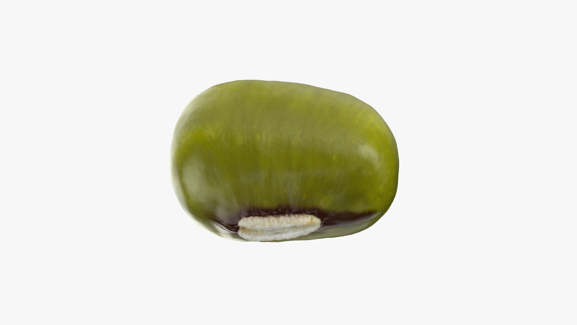 3D Mung Bean - Raw Scan model https://p.turbosquid.com/ts-thumb/No/MPZ7DC/1w/mungbean_0001/png/1764938133/1920x1080/fit_q87/fb862bbabae8ae17ad8177708f3189663770cc7c/mungbean_0001.jpg