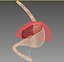 Liver Stomach Diaphragm