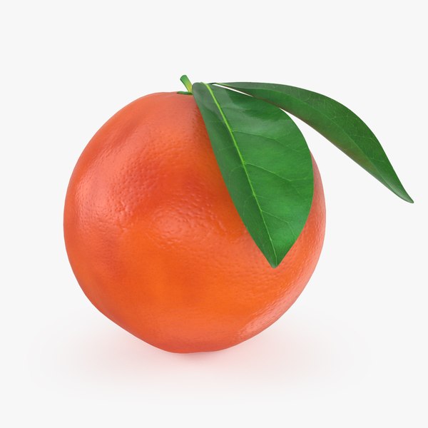 3D Whole Blood Orange with Leaf 02