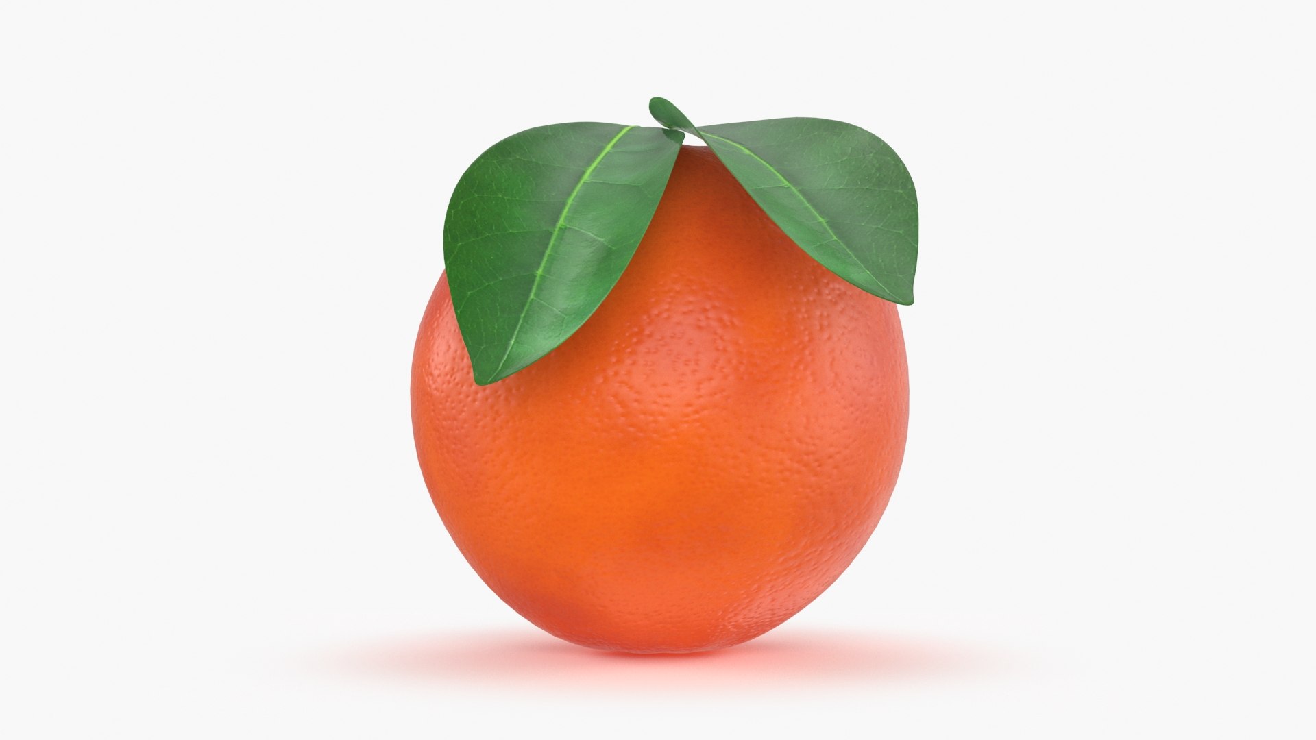 3D Whole Blood Orange With Leaf 02 - TurboSquid 1991575