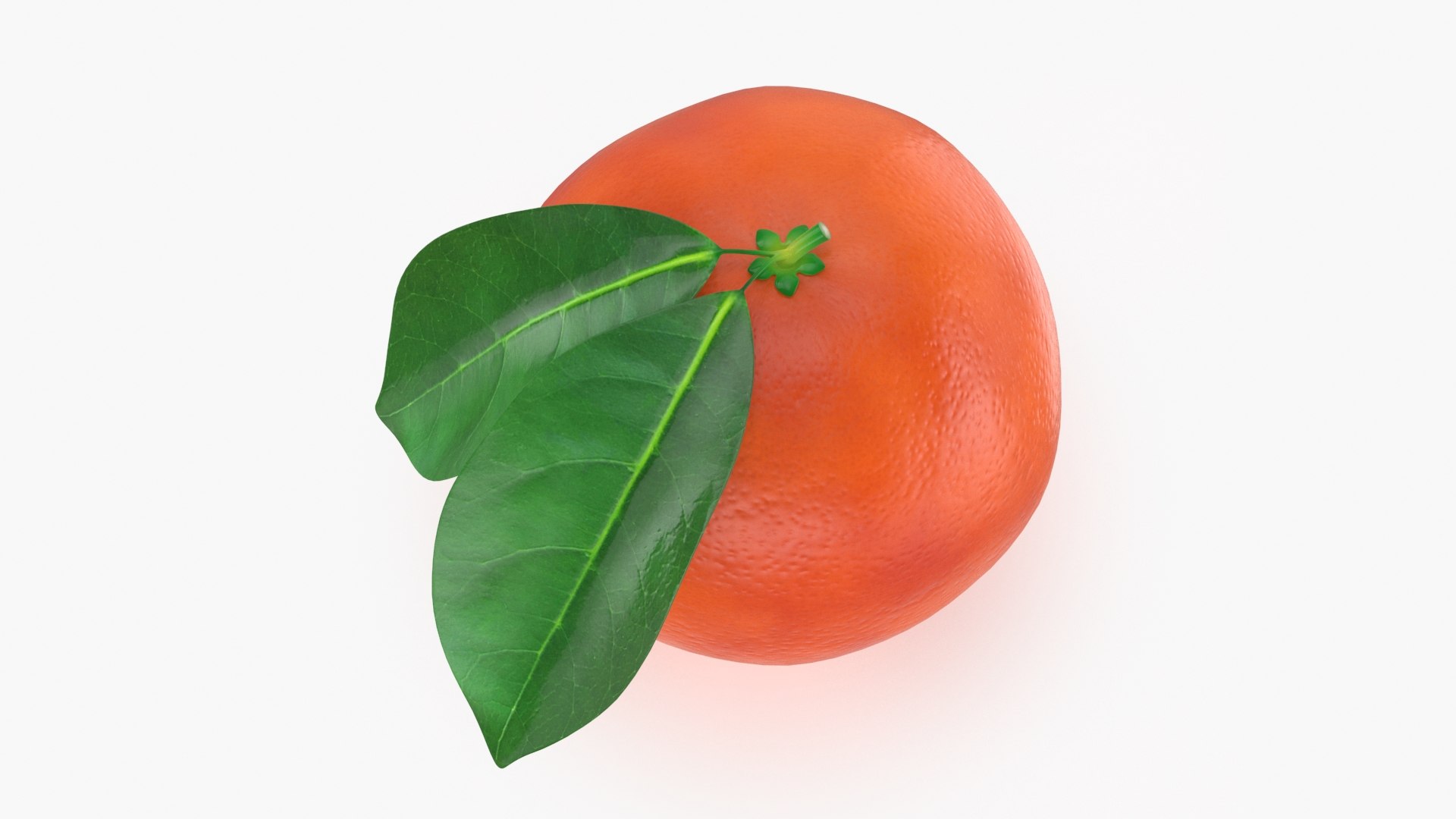 3D Whole Blood Orange With Leaf 02 - TurboSquid 1991575