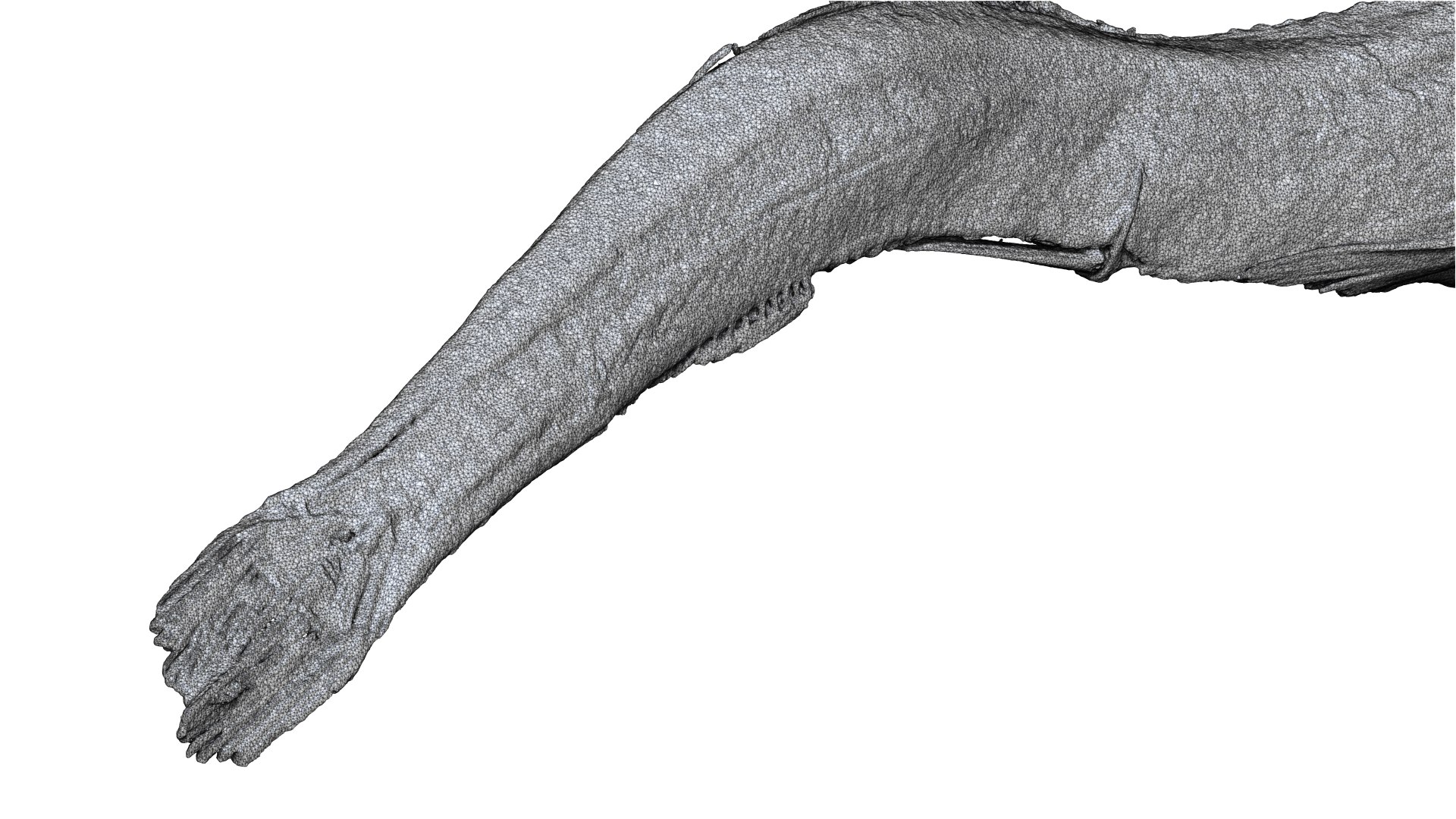 3D Niboshi fish 3 3D CT scan https://p.turbosquid.com/ts-thumb/No/UTbMqm/8d/10/png/1636678585/1920x1080/fit_q87/356b2d9ace5670d7657e8d63bda085fb6b668a3b/10.jpg