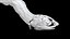 Niboshi fish 3 3D CT scan