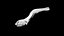 Niboshi fish 3 3D CT scan