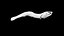 Niboshi fish 3 3D CT scan