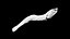 Niboshi fish 3 3D CT scan