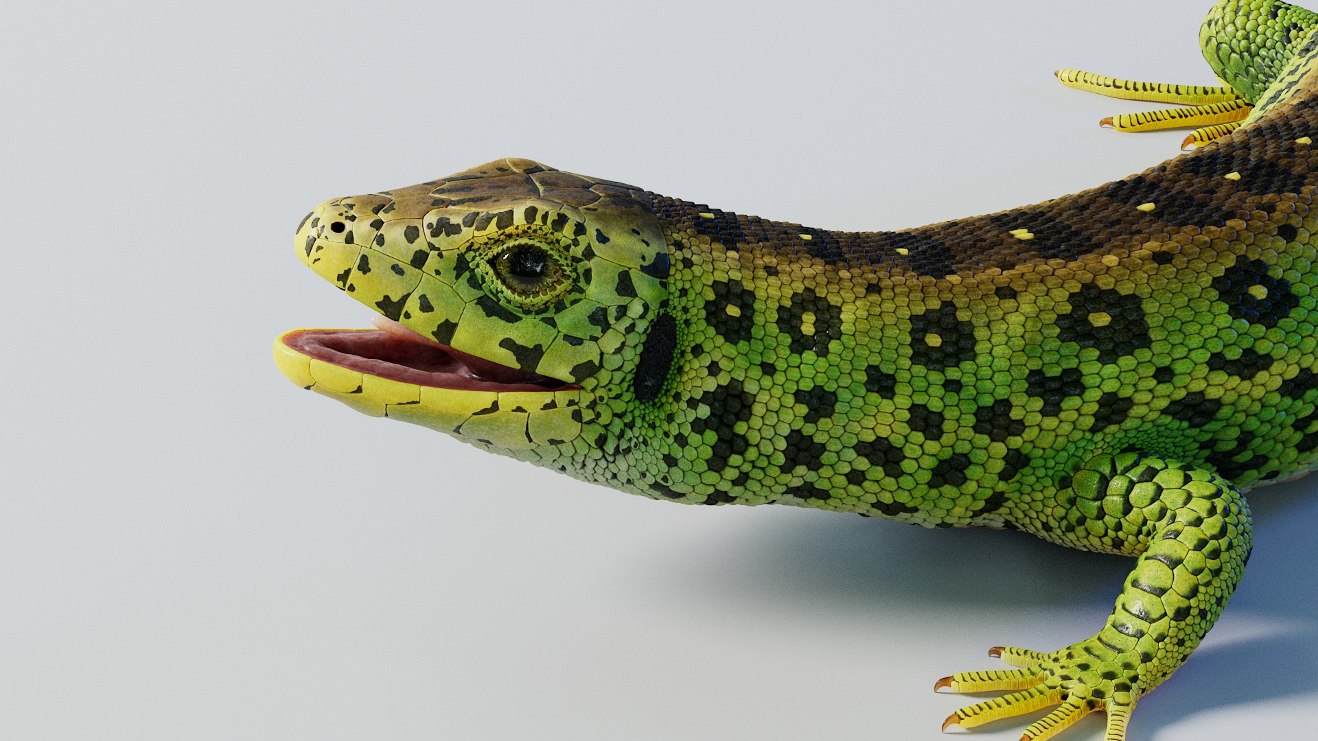 3D Common Lizard Rigged https://p.turbosquid.com/ts-thumb/No/aIEh3n/po/lizardriggedtbb/jpg/1782376130/1920x1080/turn_fit_q99/1a57f7e10c8f6b13fae8791a776e851a3453ca25/lizardriggedtbb-1.jpg