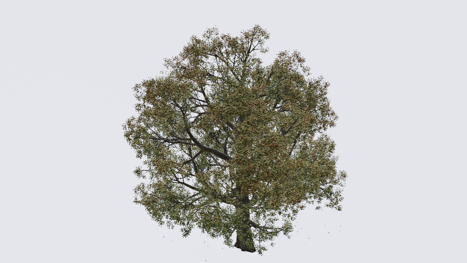 Seasonal Pack of Trees 3D model model https://p.turbosquid.com/ts-thumb/No/hIFsHy/1N/12/jpg/1634890005/1920x1080/fit_q87/c0ac2cf641fcb5edd5d2cef467ae5bbbb1b9d84c/12.jpg