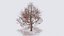 Seasonal Pack of Trees 3D model