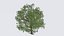 Seasonal Pack of Trees 3D model