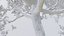 Seasonal Pack of Trees 3D model