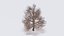 Seasonal Pack of Trees 3D model