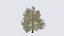 Seasonal Pack of Trees 3D model
