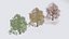 Seasonal Pack of Trees 3D model